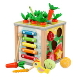 6 in 1 Montessori Wooden Toy for Toddlers